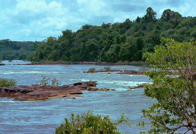 Saut Maripa (sur l'Oyapock)